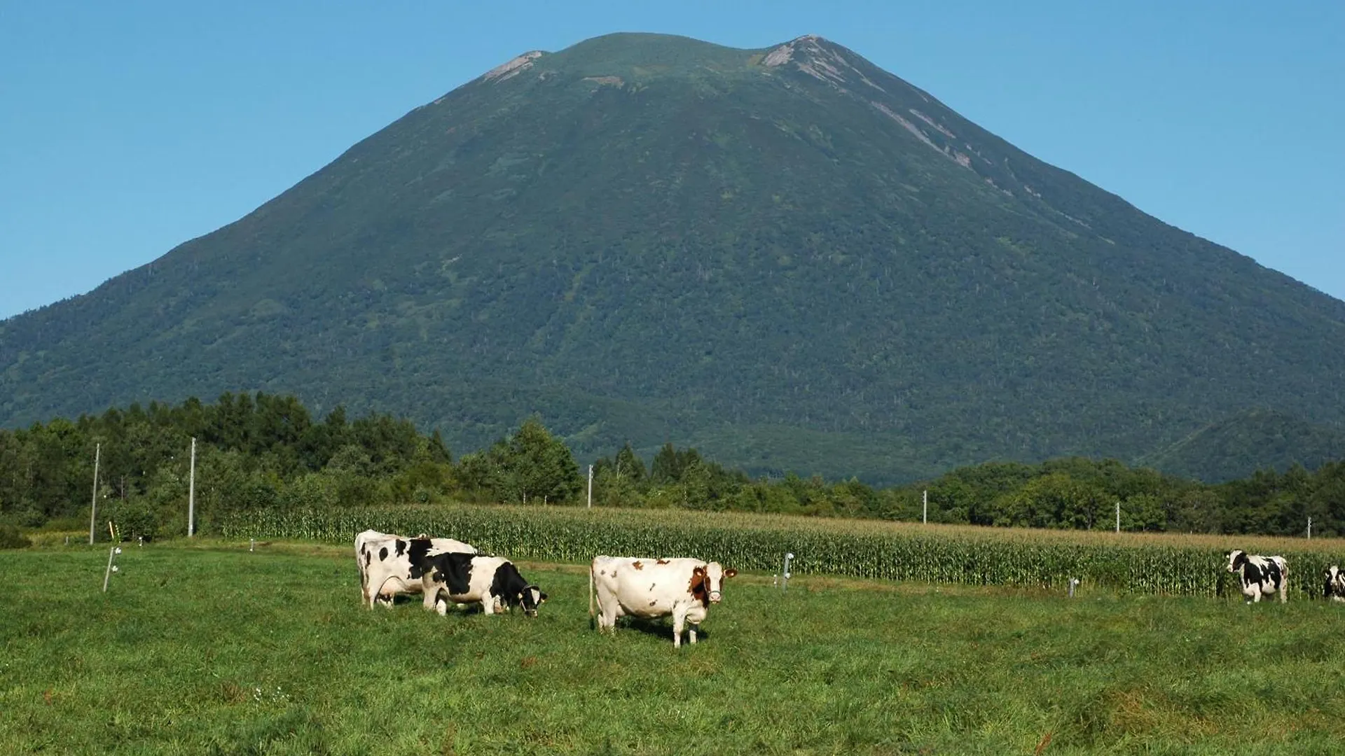Niseko Highland Cottages Casa vacanze