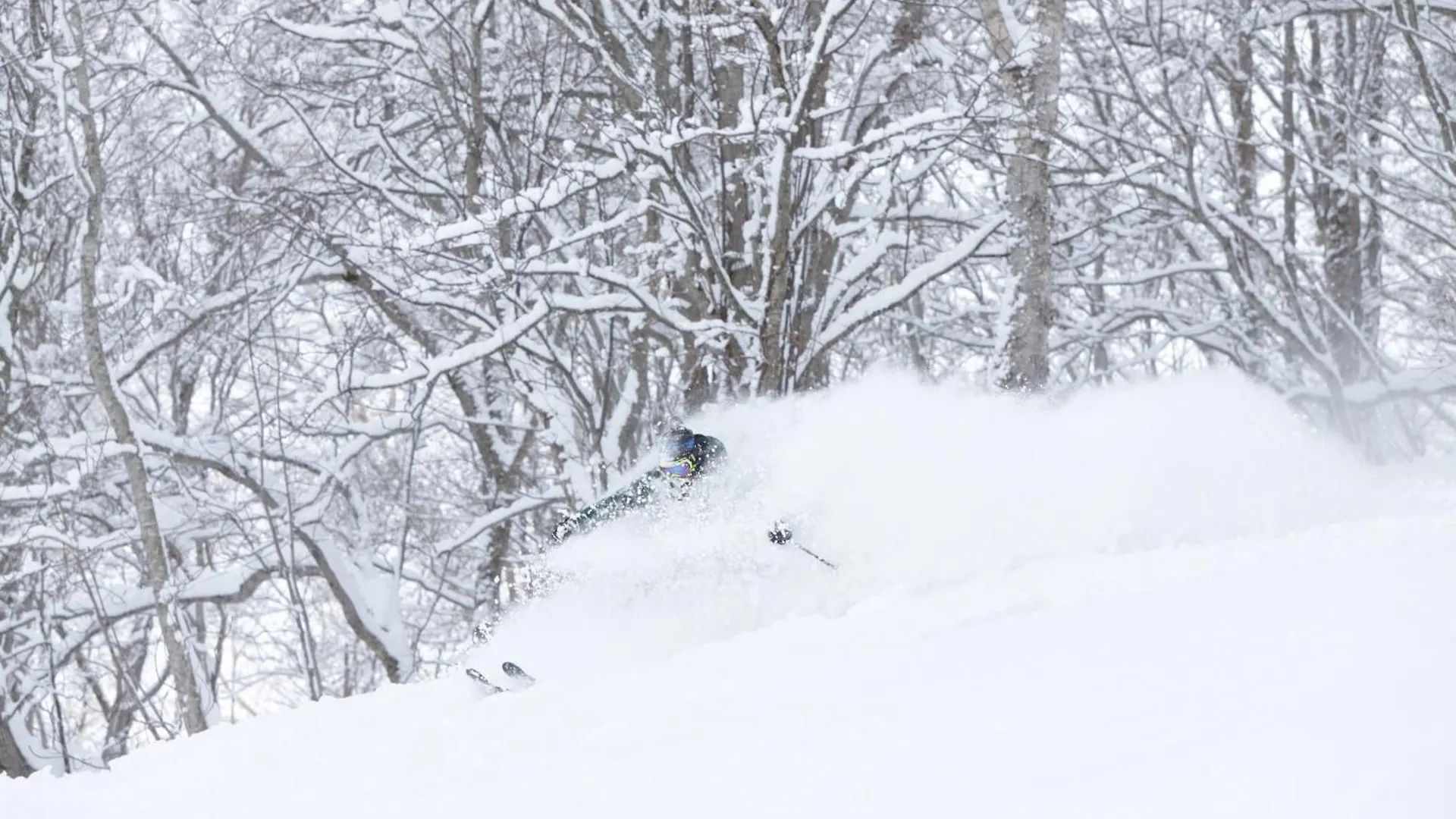 펜션 Niseko Highland Cottages 일본